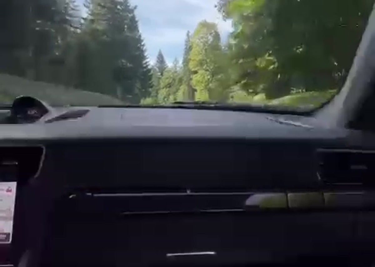 Porsche 911 991 GT3 cabin view on a forest road, dashboard and steering wheel visible, driver's feet on the pedals